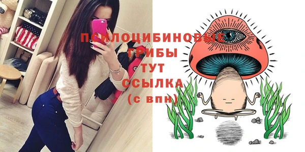 ешки Санкт-Петербург