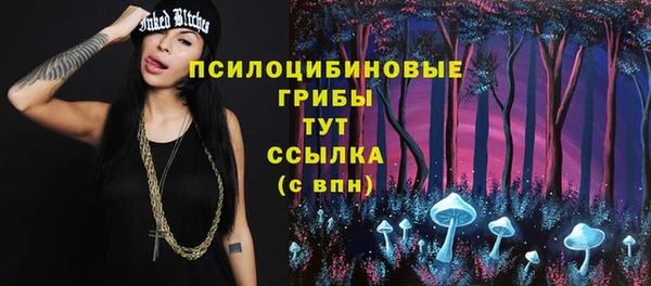 ешки Санкт-Петербург
