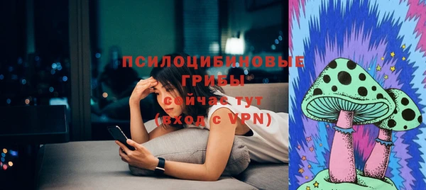 твердый Ессентукская