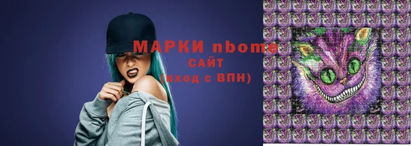 apvp Новосибирск