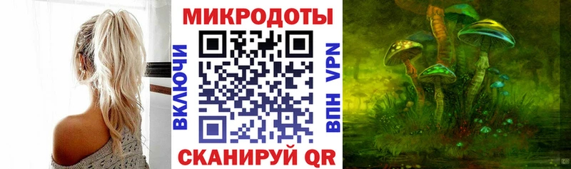 Галлюциногенные грибы Psilocybine cubensis  Челябинск 