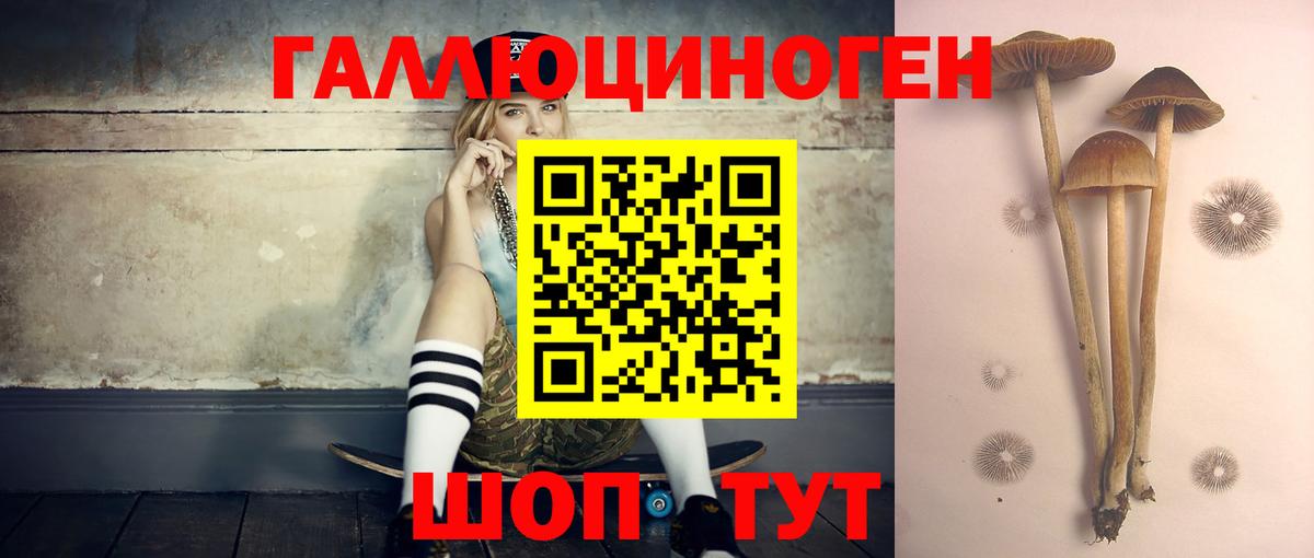Россия  где можно купить   Вход с VPN  Псилоцибиновые грибы Cubensis 
